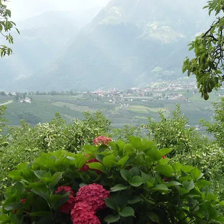Planta 2* Meran