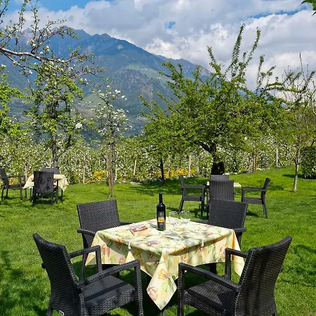 Planta 2* Meran